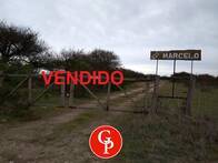 Campo Mixto En Venta 309 Hectáreas. Abramo La Pampa.