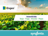 Insecticida Engeo ® - Syngenta