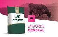 Engorde General - Crecer