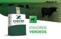 Engorde Verdeos Crecer - Bolsa X 25 Kg.