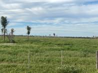 Campo en Venta Ganadero 5120 has Cruz del Eje