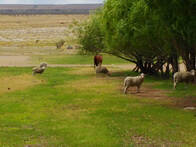 Estancia En Santa Cruz Costa Del Rio Chico