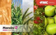 Fertilizante líquido complejo ManZinc - FMC 