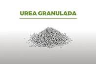 Fertilizante Nitrogenado Urea Granulada