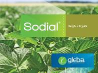 Fertilizante para fertirriego complejo Sodial - Gleba 