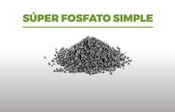 Fertilizante Superfosfato Simple