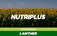 Fertilizante Nutriplus - Lanther Quimica
