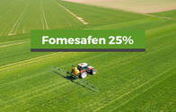 Herbicida Fomesafen 25%
