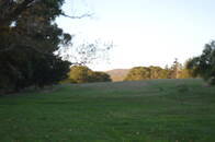 Fracción De Campo Con Plantación De Aromáticas