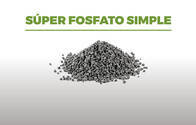 Fertilizante fosfatado Superfosfato Simple (SPS)