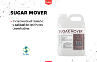 Fungicida Acento Induxor Surcos