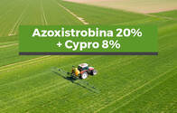 Fungicida Azosxystrobina 20% Ciproconazole 8% Azoxy Pro