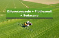 Fungicida Curasemilla Difenoconazole + Fludioxonil + Sedaxane