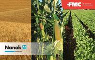 Fungicida Nanok - FMC