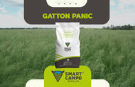 Gatton Panic Smartcampo