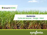 Herbicida Gesaprim ® 90 WDG Atrazina - Syngenta