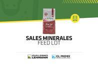 Sales Minerales GL Premix Feed Lot