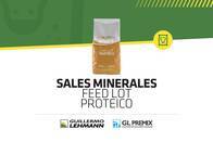 Sales Minerales GL Premix Feed Lot Proteico