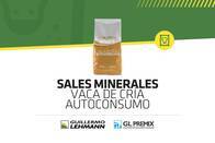 Sales Minerales GL Premix Vaca De Cría Autoconsumo