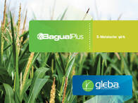 Herbicida Bagual Plus S-metolacloro - Gleba