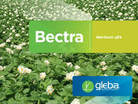 Herbicida Bectra Metribuzin - Gleba