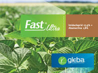 Insecticida Fast Ultra Abamectina+Imidacloprid - Gleba