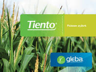 Herbicida Tiento® Picloram - Gleba