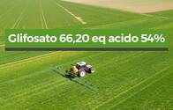 Herbicida Glifosato 66,20% Eq Acido 54%