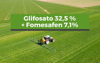 Herbicida Glifosato 32,5 % + Fomesafen 7,1%