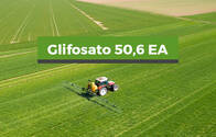 Herbicida Glifosato 50,6 EA