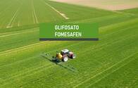 Herbicida Glifosato Fomesafen
