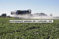 Herbicida Glufosinato Amonio 28% - Lifeline UPL