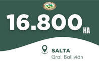 Gral. Ballivián - Salta