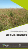 Grama Rhodes Diploide Smart Campo