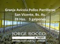 Granja Avícola, 28 Has. 3 Galpones, Sobre Asfalto.