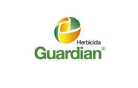 Herbicida Guardian Acetoclor - Bayer
