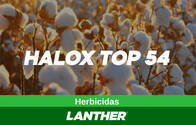 Herbicida Halox Top 54 - Lanther Quimica