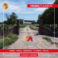 Haras/campo De 383 Ha. En Winifreda, Conhelo, La Pampa