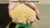 Harina De Soja Hipro 46 Pb