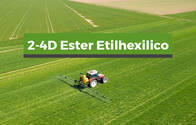Herbicida 2,4 D Ester Etilexilico LVII