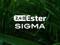 Herbicida 2,4 D Ester Sigma - Sigma Agro 