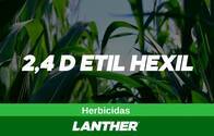 Herbicida 2,4 D Etil Hexil - Lanther Quimica