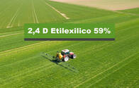 Herbicida 2,4 D Etilexilico 59%
