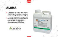 Herbicida Alana Agrofina