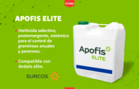 Herbicida Apofis Elite Surcos