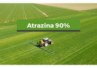 Herbicida Atrazina 90%