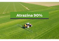 Herbicida Atrazina 90% sólida Atranex