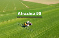 Herbicida Atrazina Liquida Trac 50