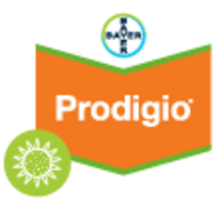 Herbicida Prodigio® 60 SC Aclonifen - Bayer