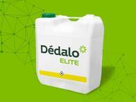 Herbicida Dedalo Elite 2,4-D